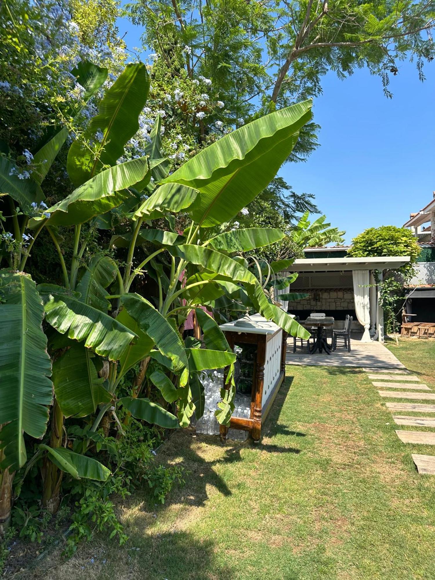 Argente Alacati (Adults Only) Dış mekan fotoğraf